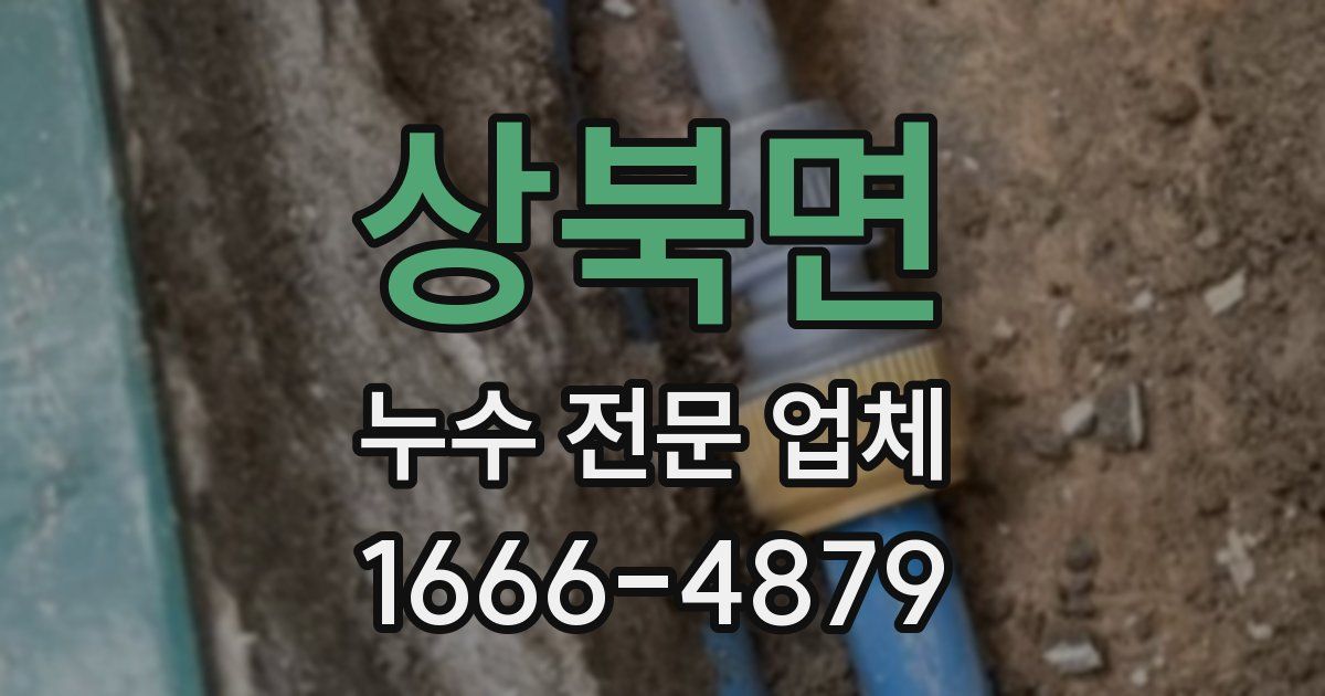 상북면 누수 전문 업체