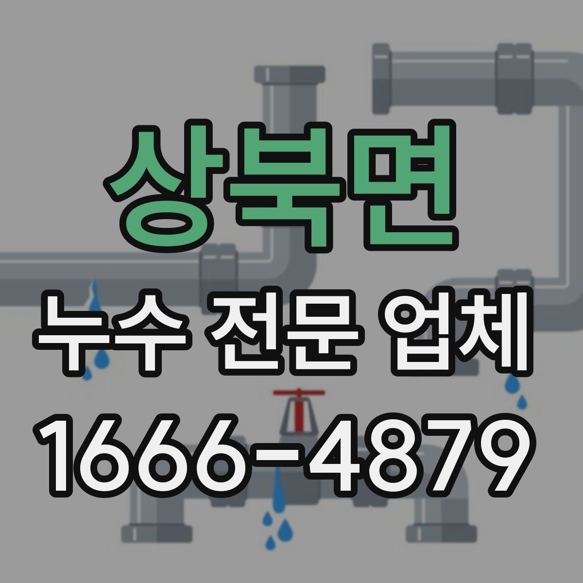 상북면 누수 전문 업체