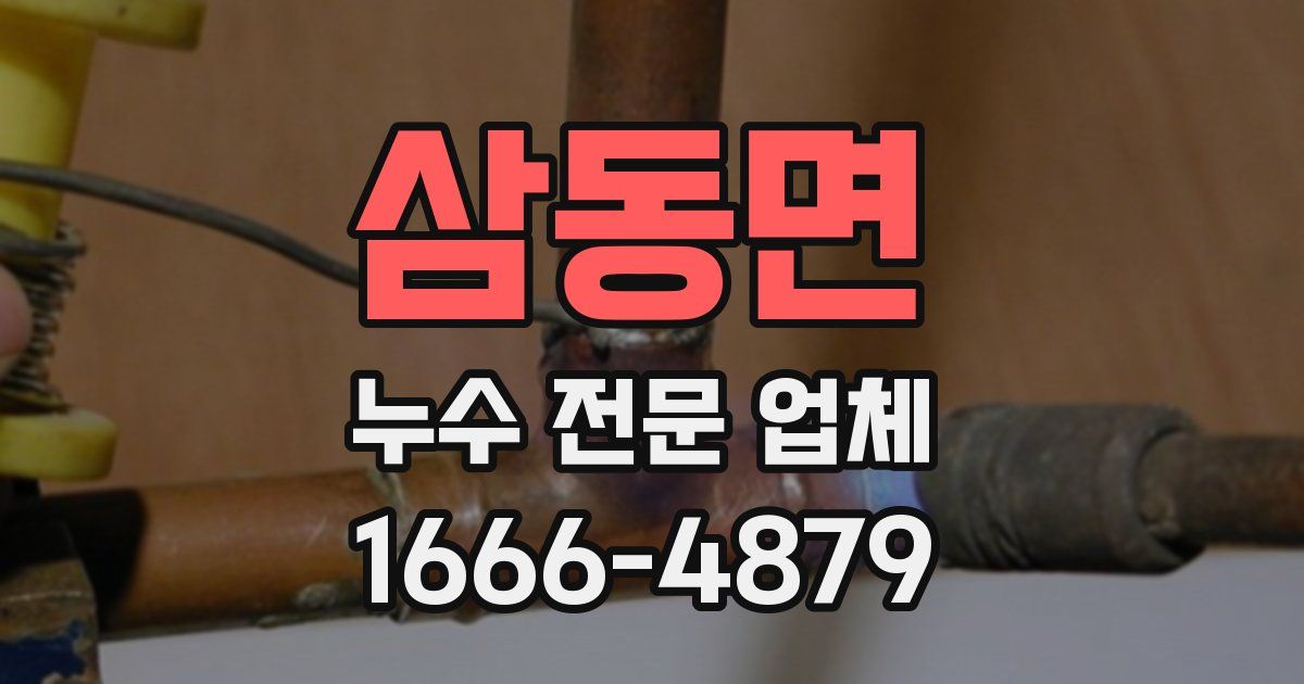 삼동면 누수 전문 업체
