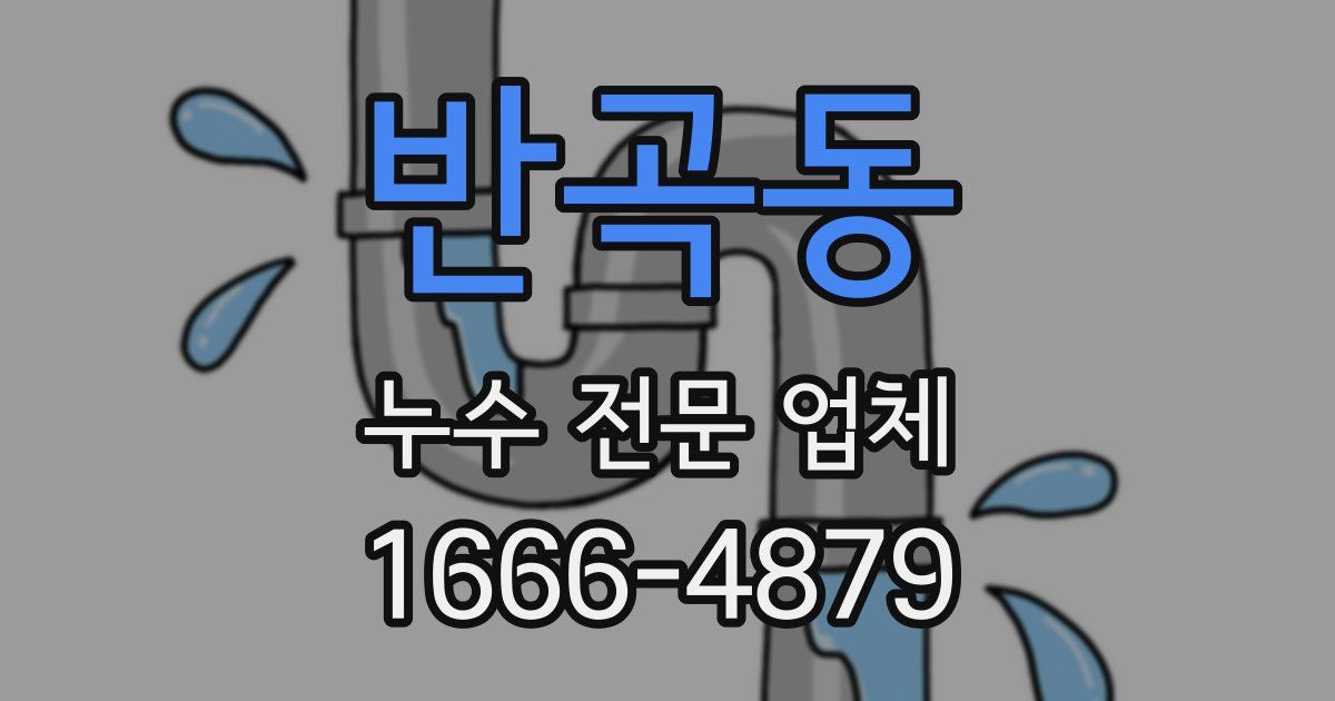 반곡동 누수 전문 업체