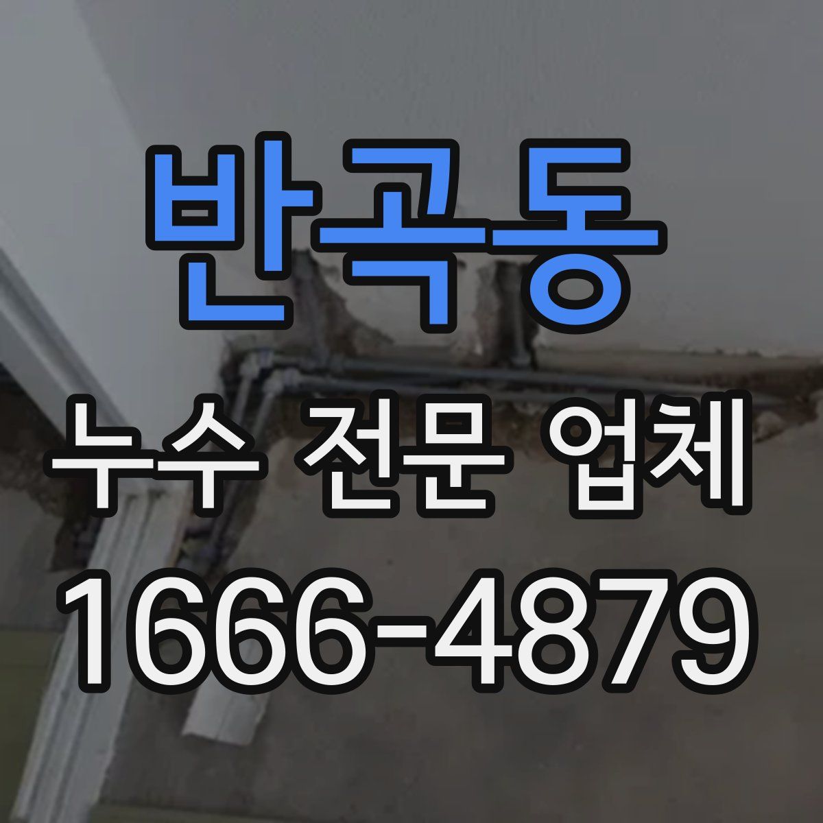 반곡동 누수 전문 업체