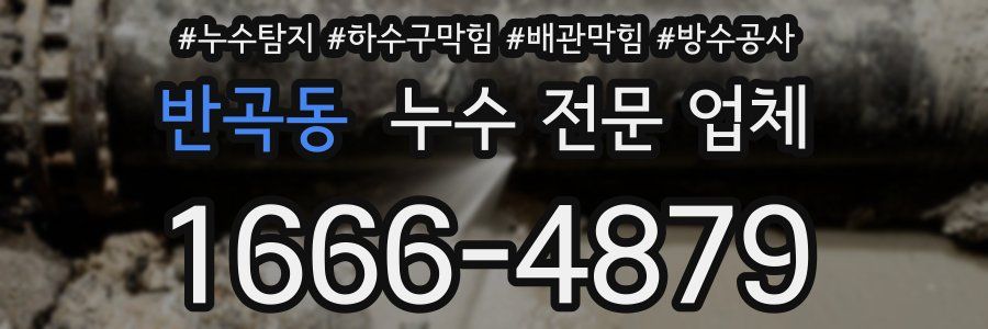 반곡동 누수 전문 업체