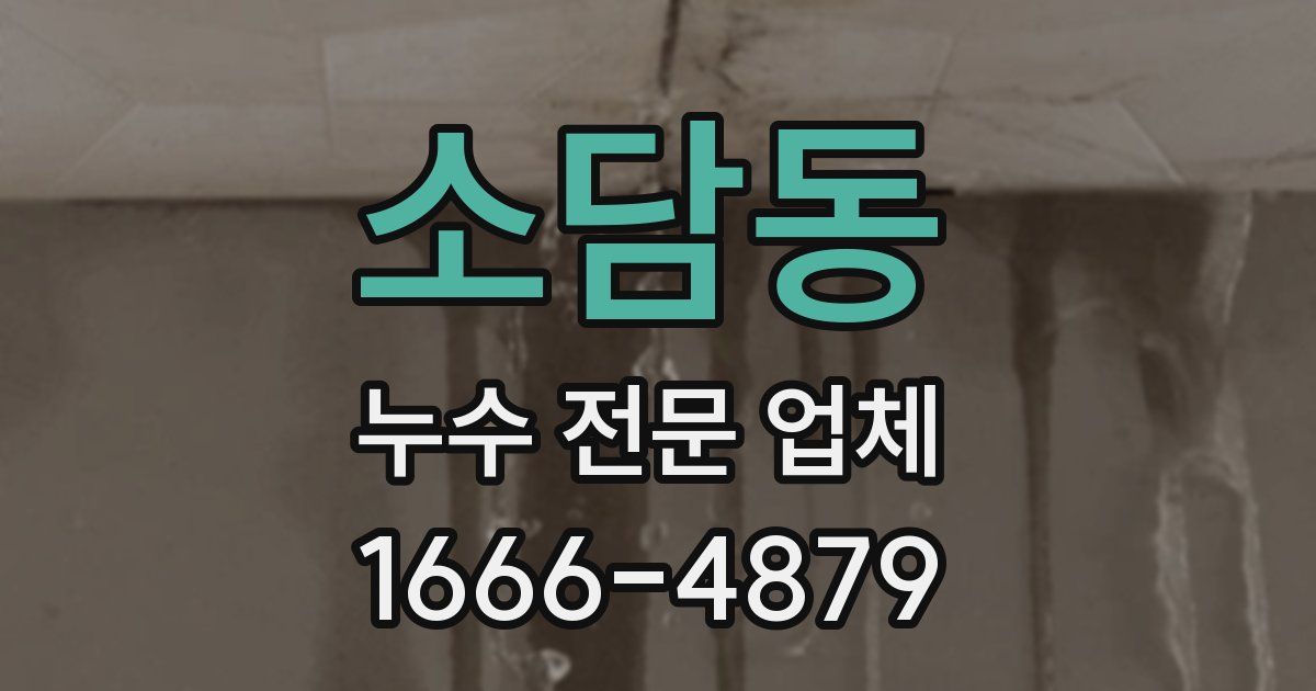 소담동 누수 전문 업체