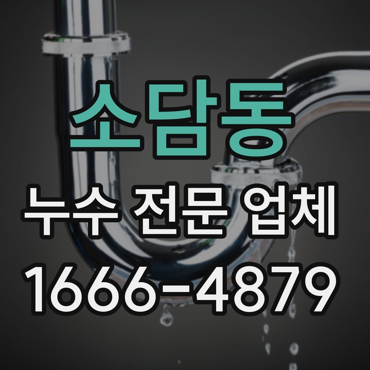 소담동 누수 전문 업체