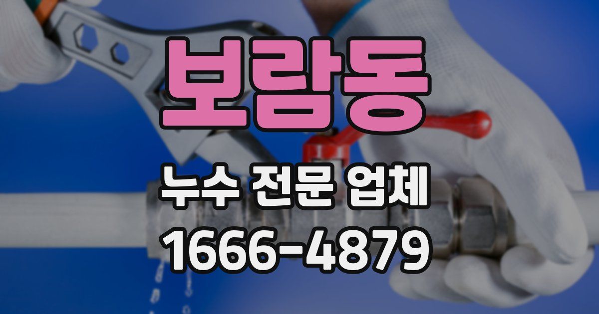 보람동 누수 전문 업체