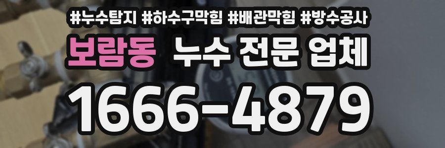 보람동 누수 전문 업체