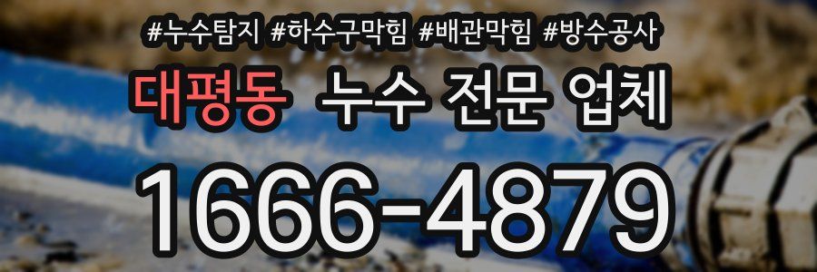 대평동 누수 전문 업체