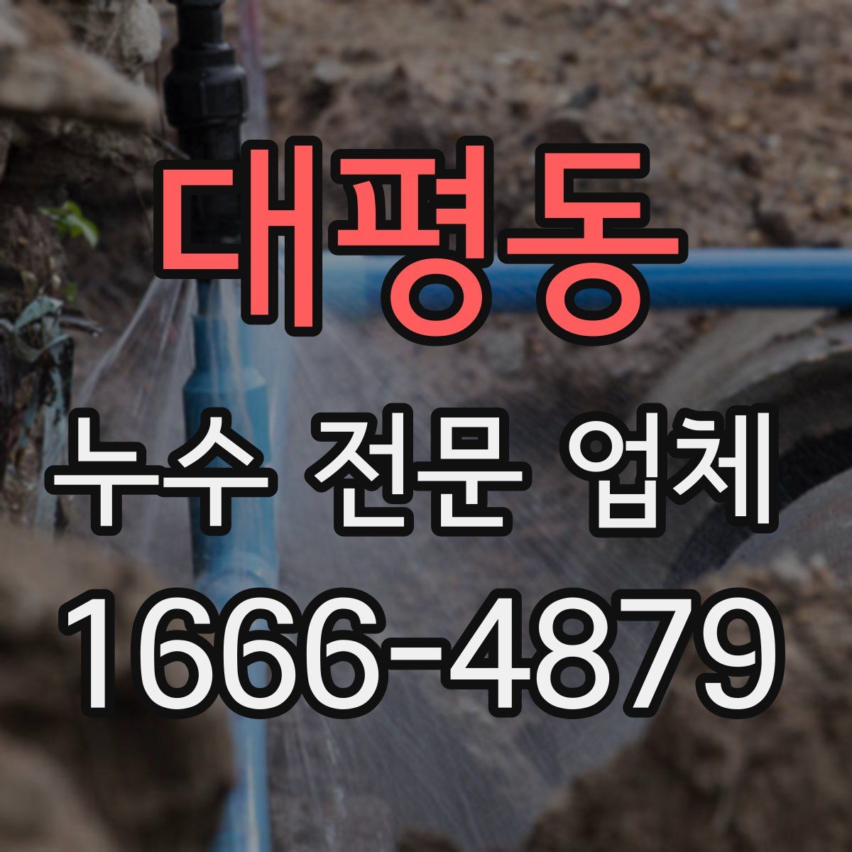 대평동 누수 전문 업체