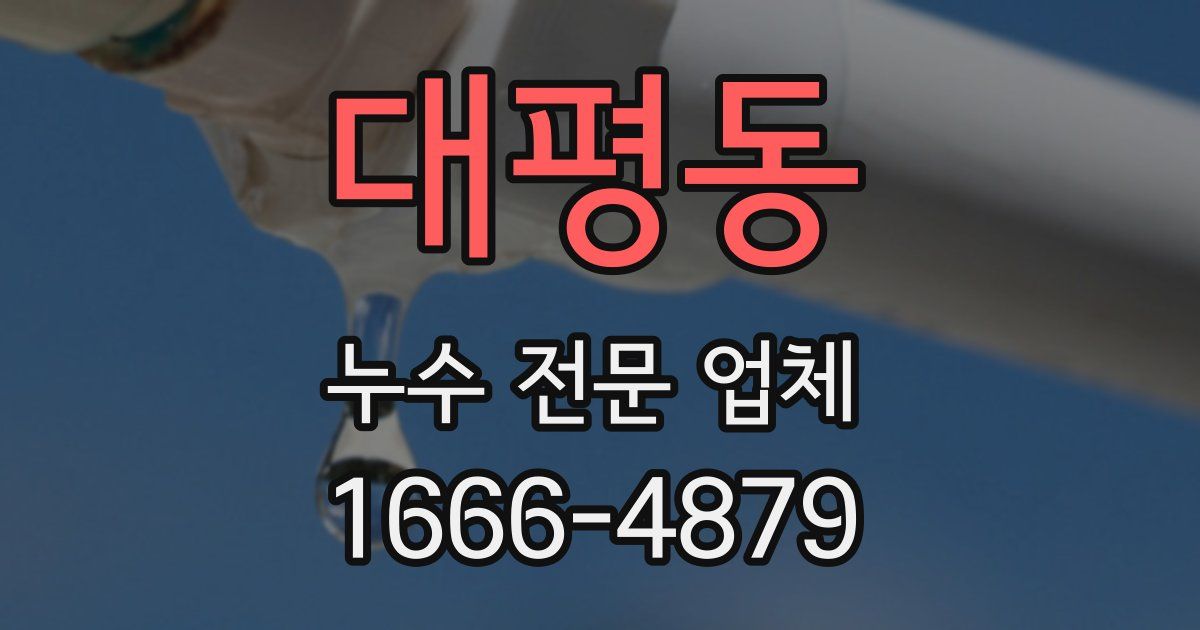 대평동 누수 전문 업체