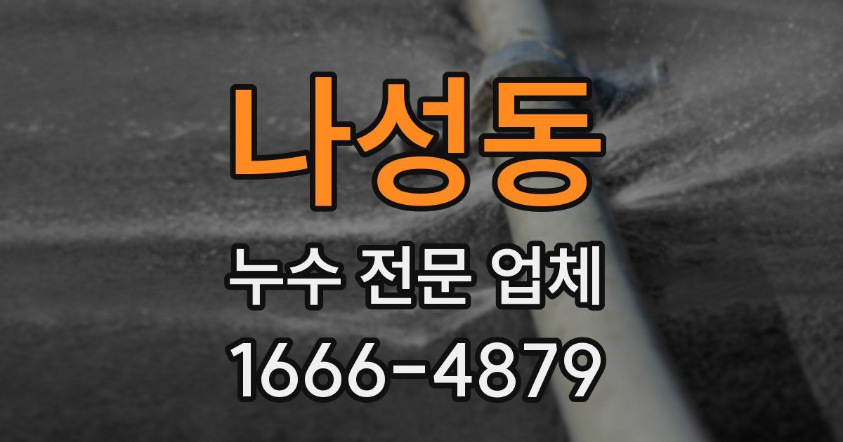 나성동 누수 전문 업체