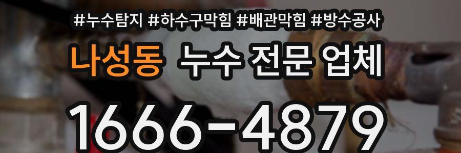 나성동 누수 전문 업체