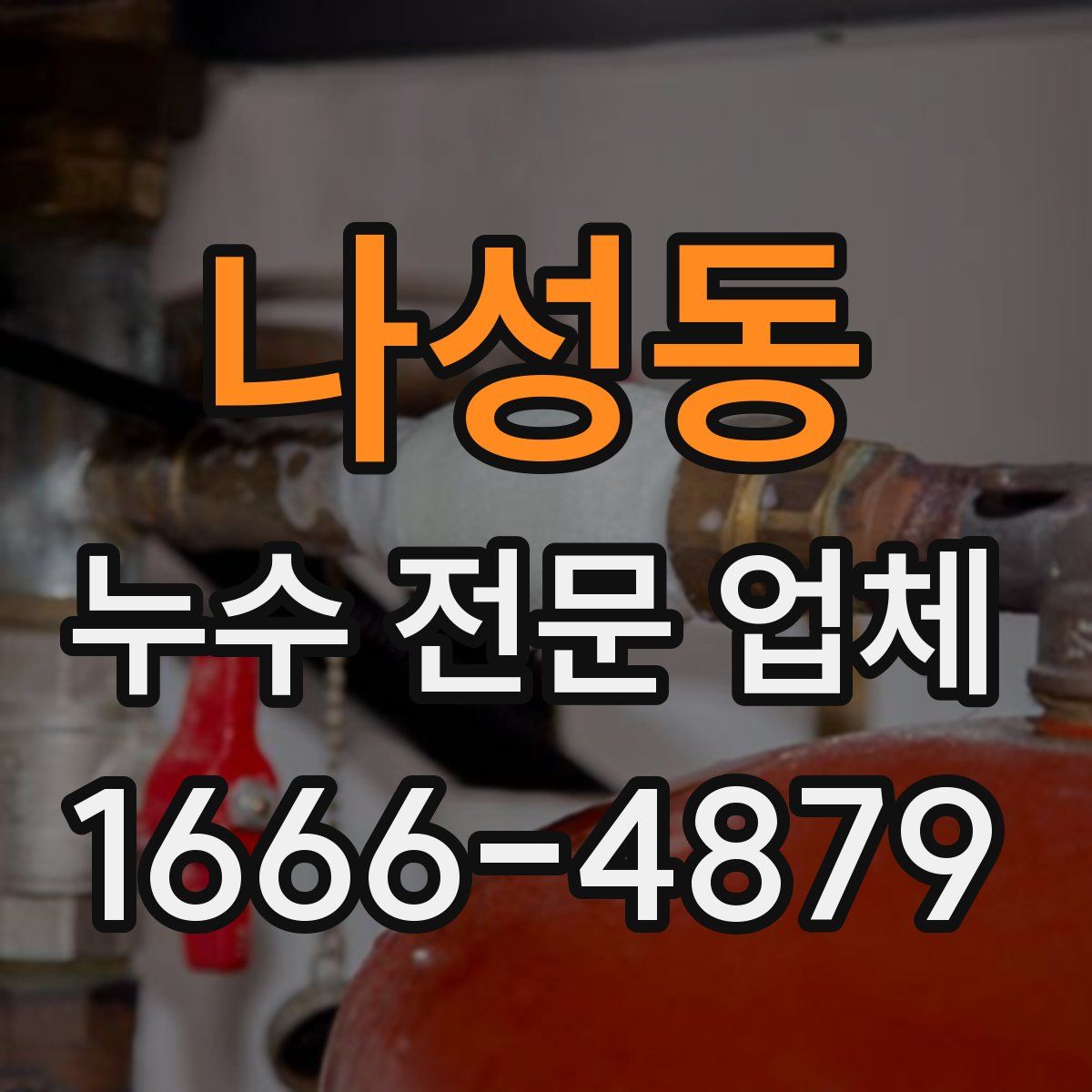나성동 누수 전문 업체