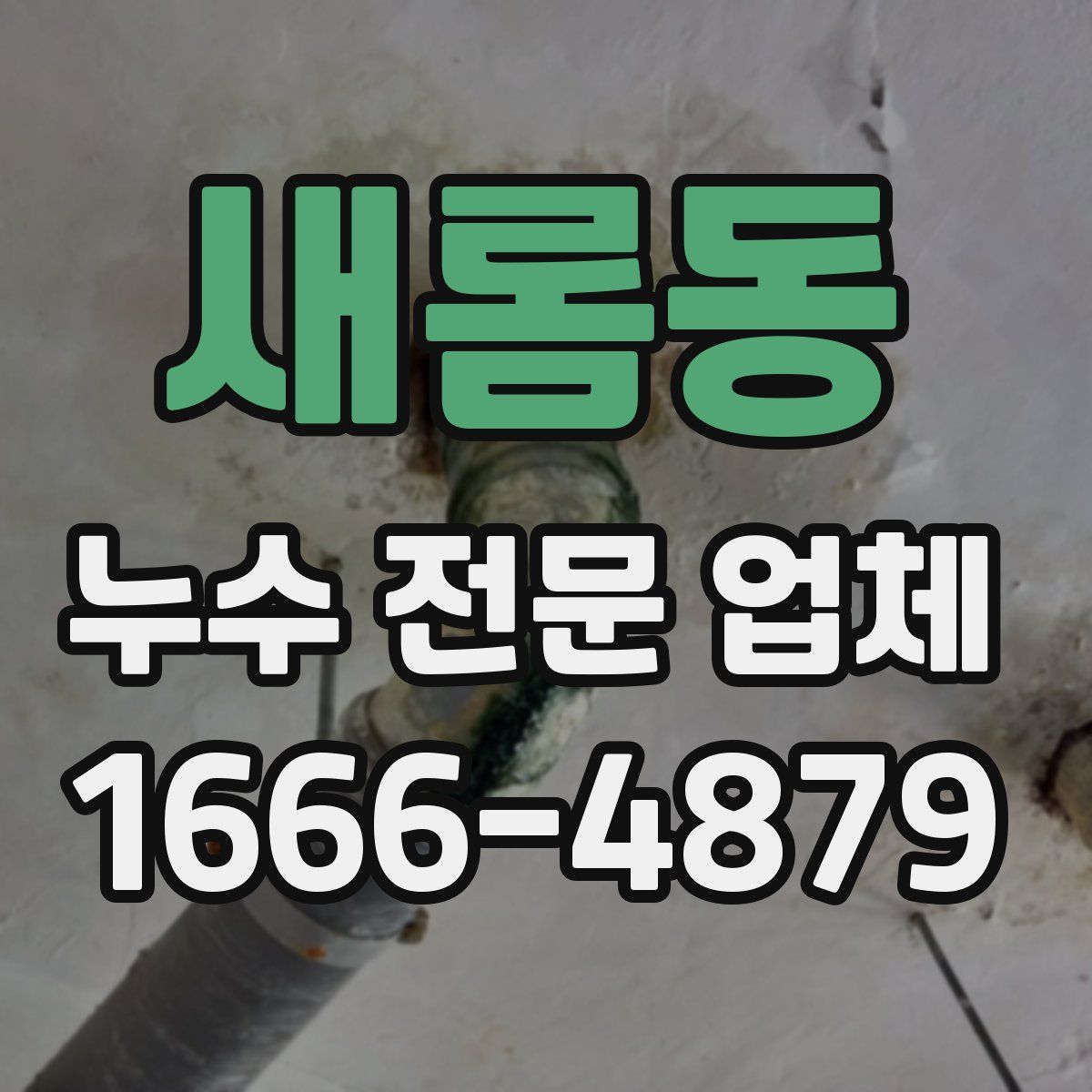 새롬동 누수 전문 업체