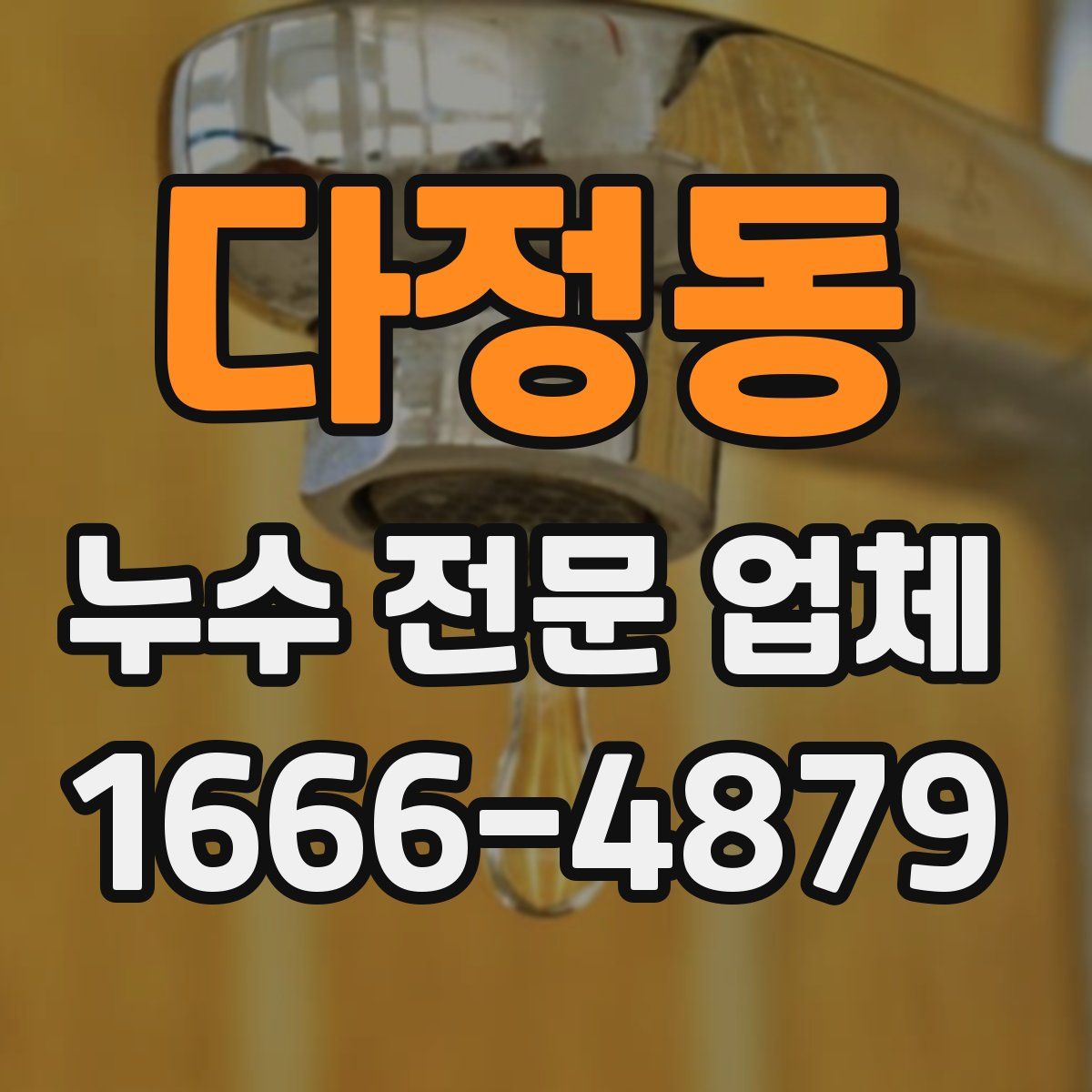 다정동 누수 전문 업체