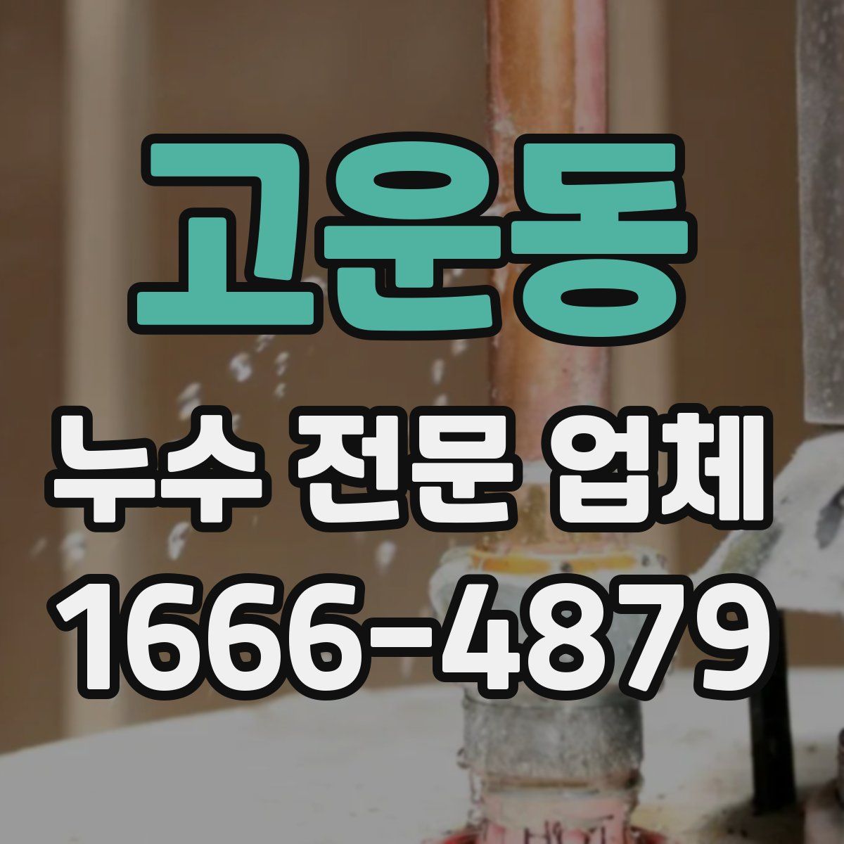 고운동 누수 전문 업체