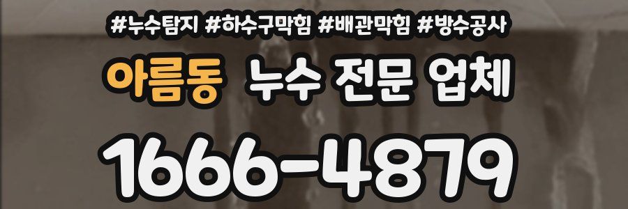 아름동 누수 전문 업체