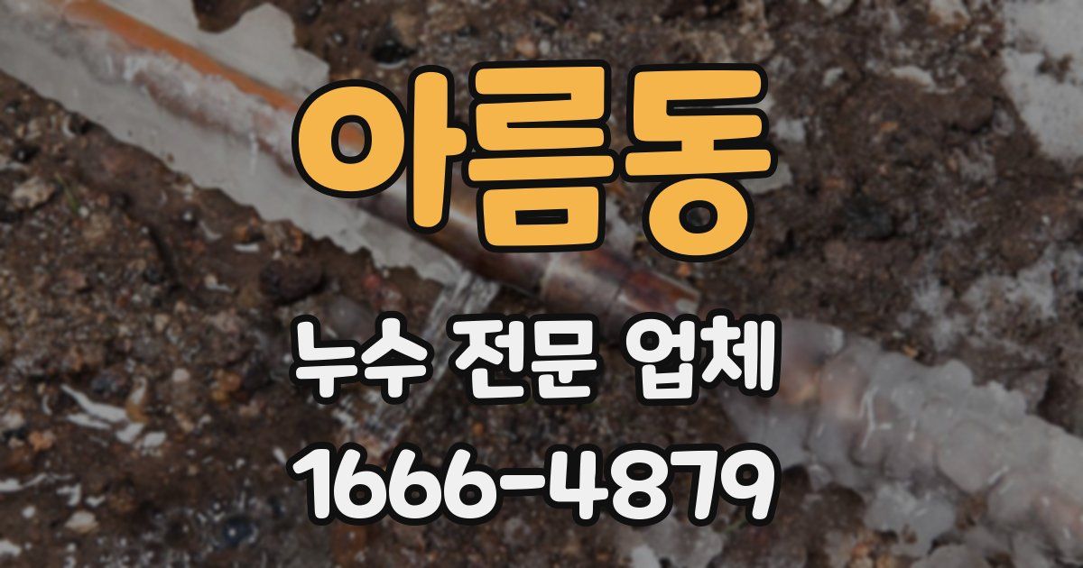 아름동 누수 전문 업체