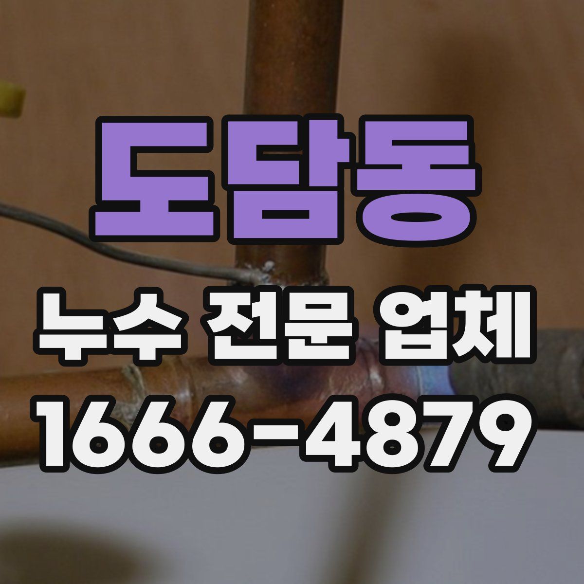 도담동 누수 전문 업체