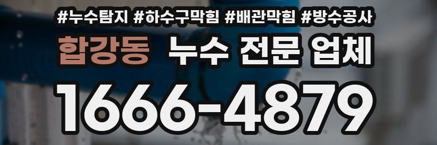 합강동 누수 전문 업체
