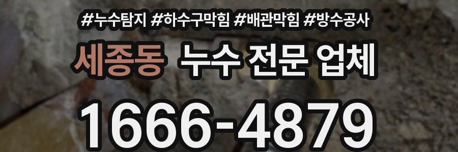 세종동 누수 전문 업체