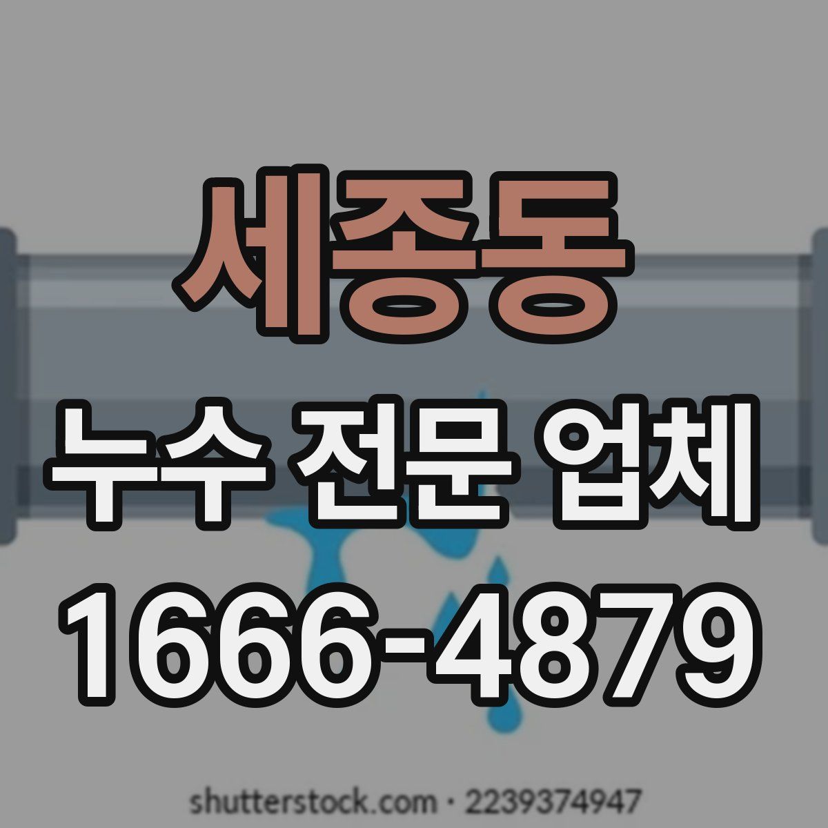세종동 누수 전문 업체