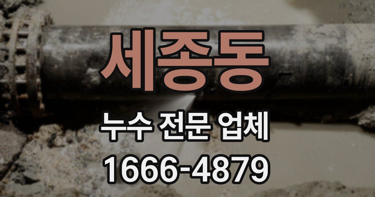 세종동 누수 전문 업체