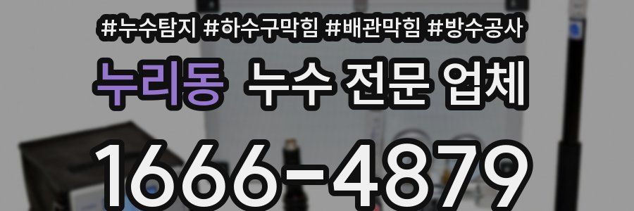 누리동 누수 전문 업체