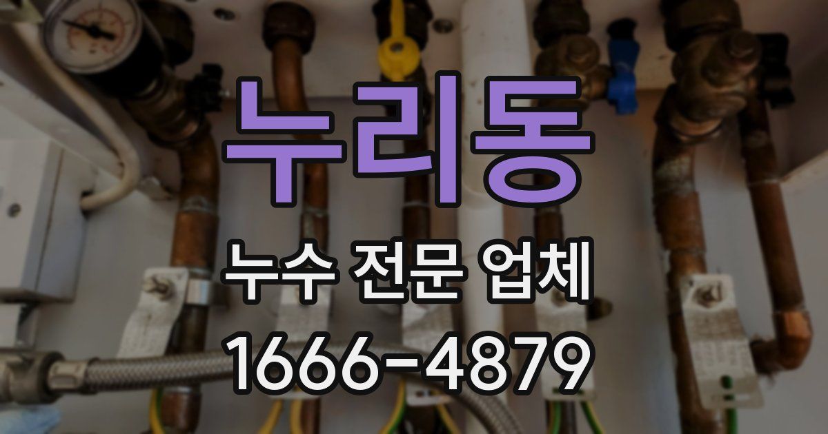 누리동 누수 전문 업체