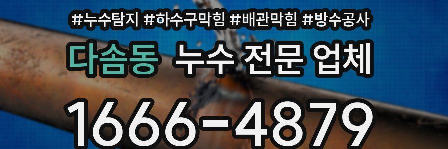 다솜동 누수 전문 업체