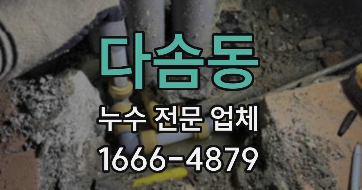 다솜동 누수 전문 업체