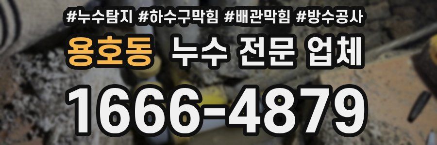 용호동 누수 전문 업체