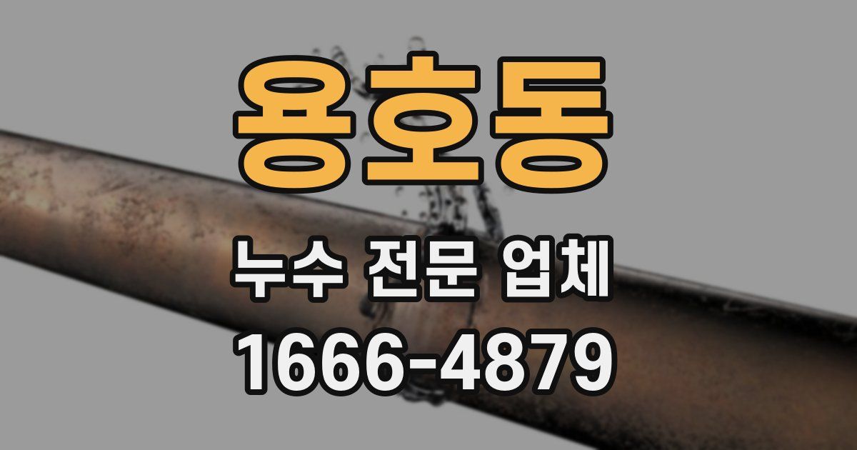 용호동 누수 전문 업체
