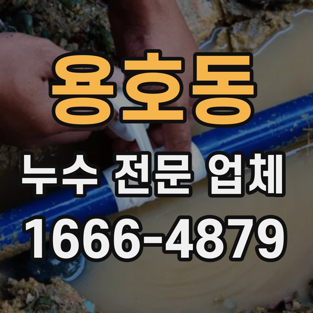 용호동 누수 전문 업체