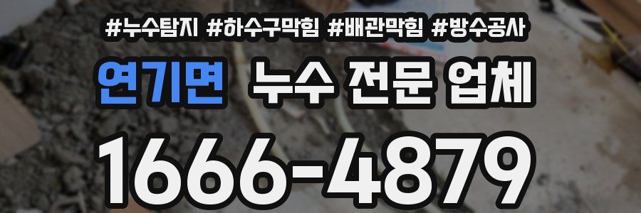 연기면 누수 전문 업체