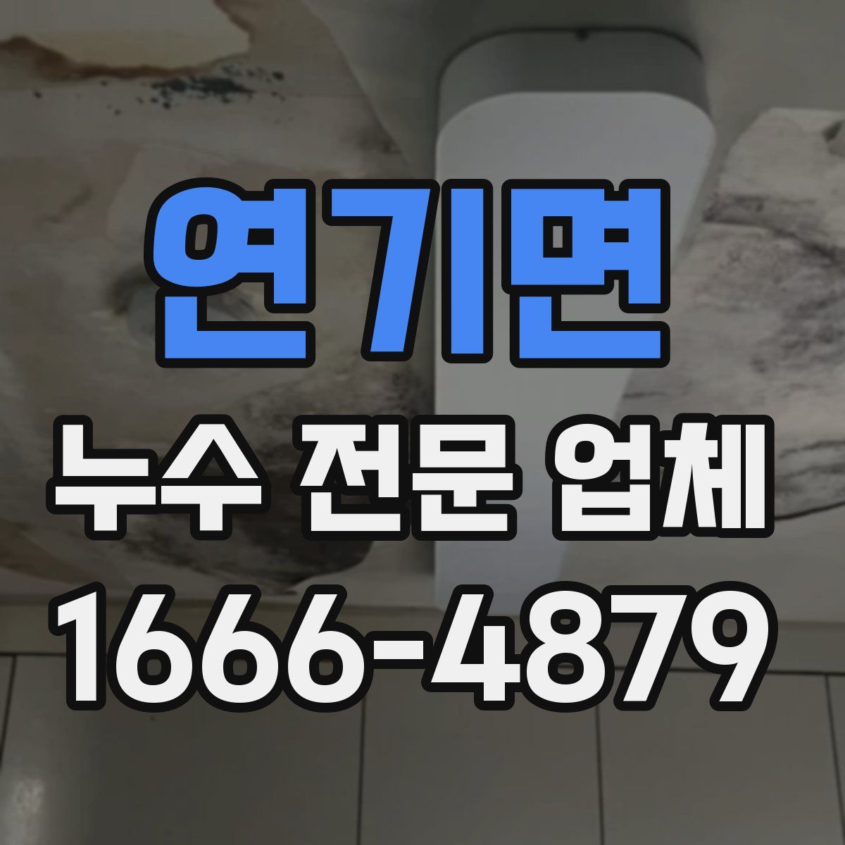 연기면 누수 전문 업체