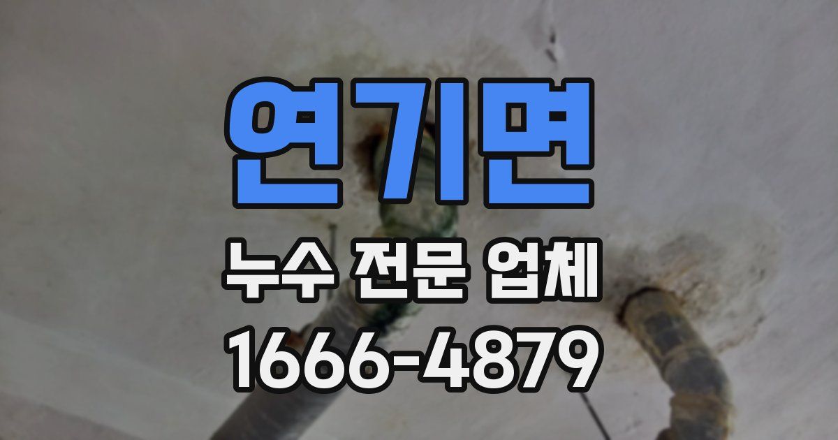 연기면 누수 전문 업체