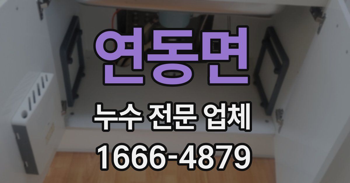 연동면 누수 전문 업체