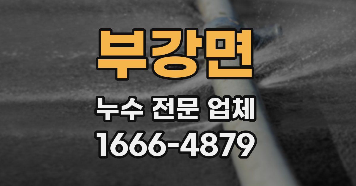 부강면 누수 전문 업체