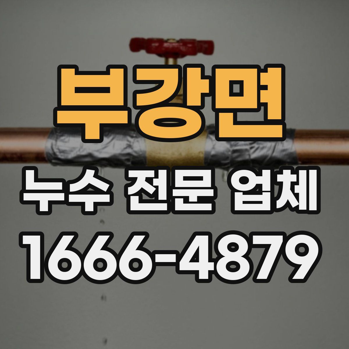 부강면 누수 전문 업체