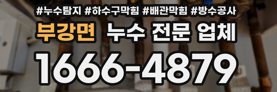 부강면 누수 전문 업체