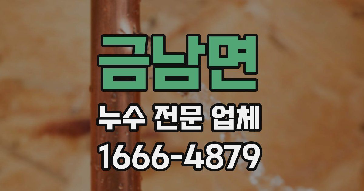 금남면 누수 전문 업체