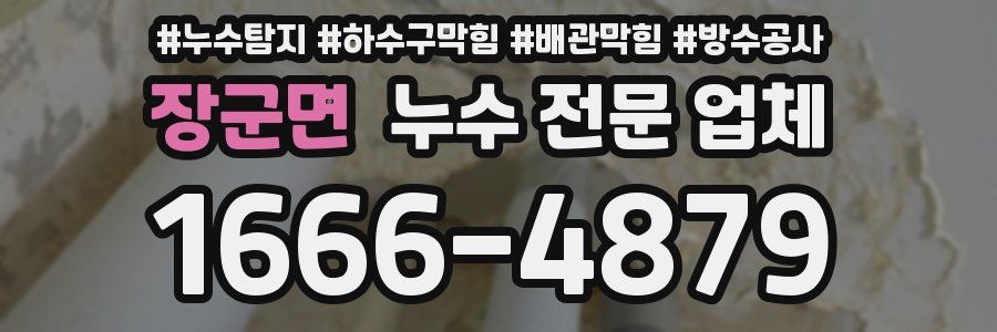 장군면 누수 전문 업체