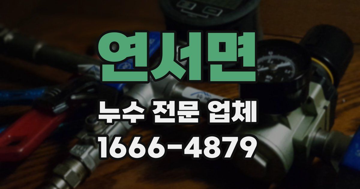 연서면 누수 전문 업체
