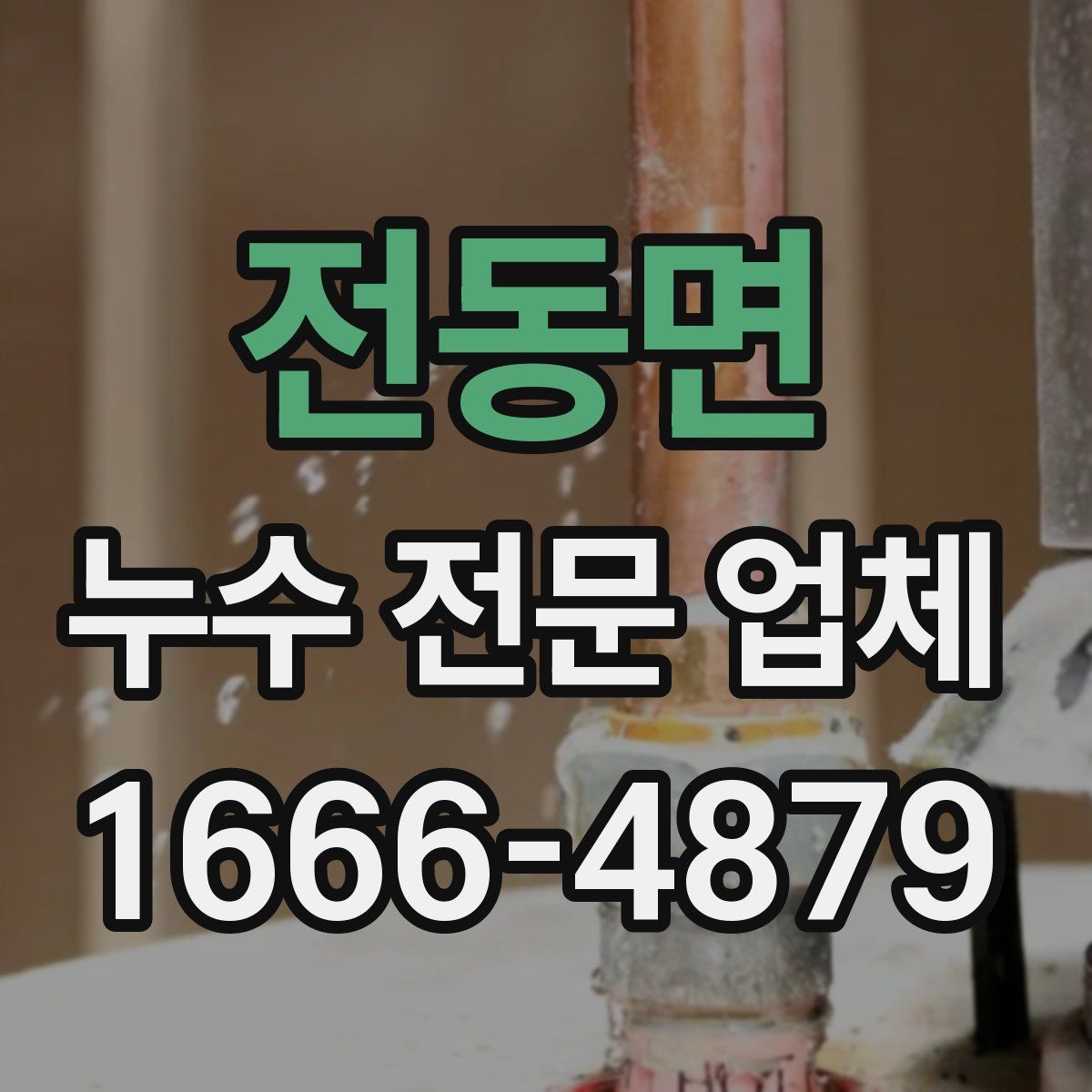 전동면 누수 전문 업체