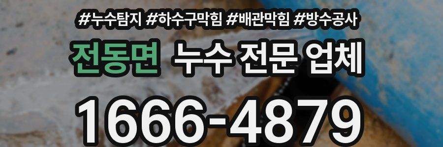 전동면 누수 전문 업체