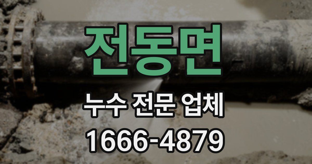전동면 누수 전문 업체
