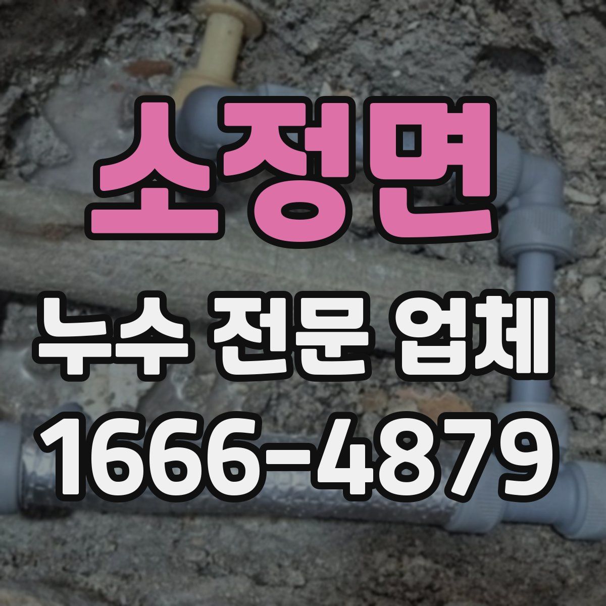 소정면 누수 전문 업체