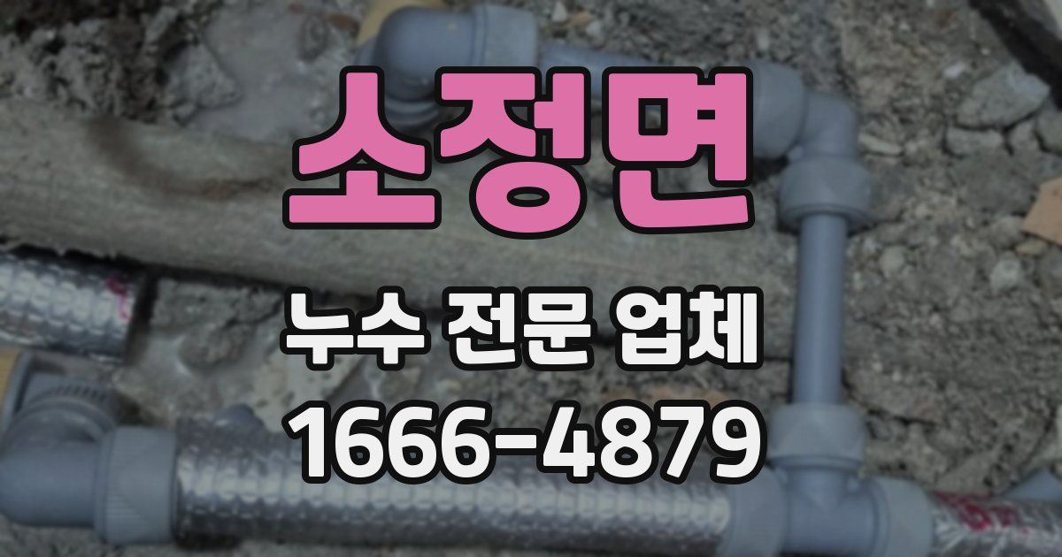 소정면 누수 전문 업체