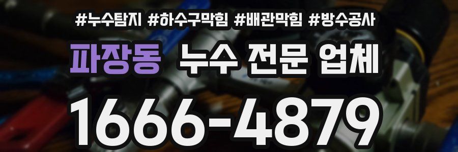 파장동 누수 전문 업체