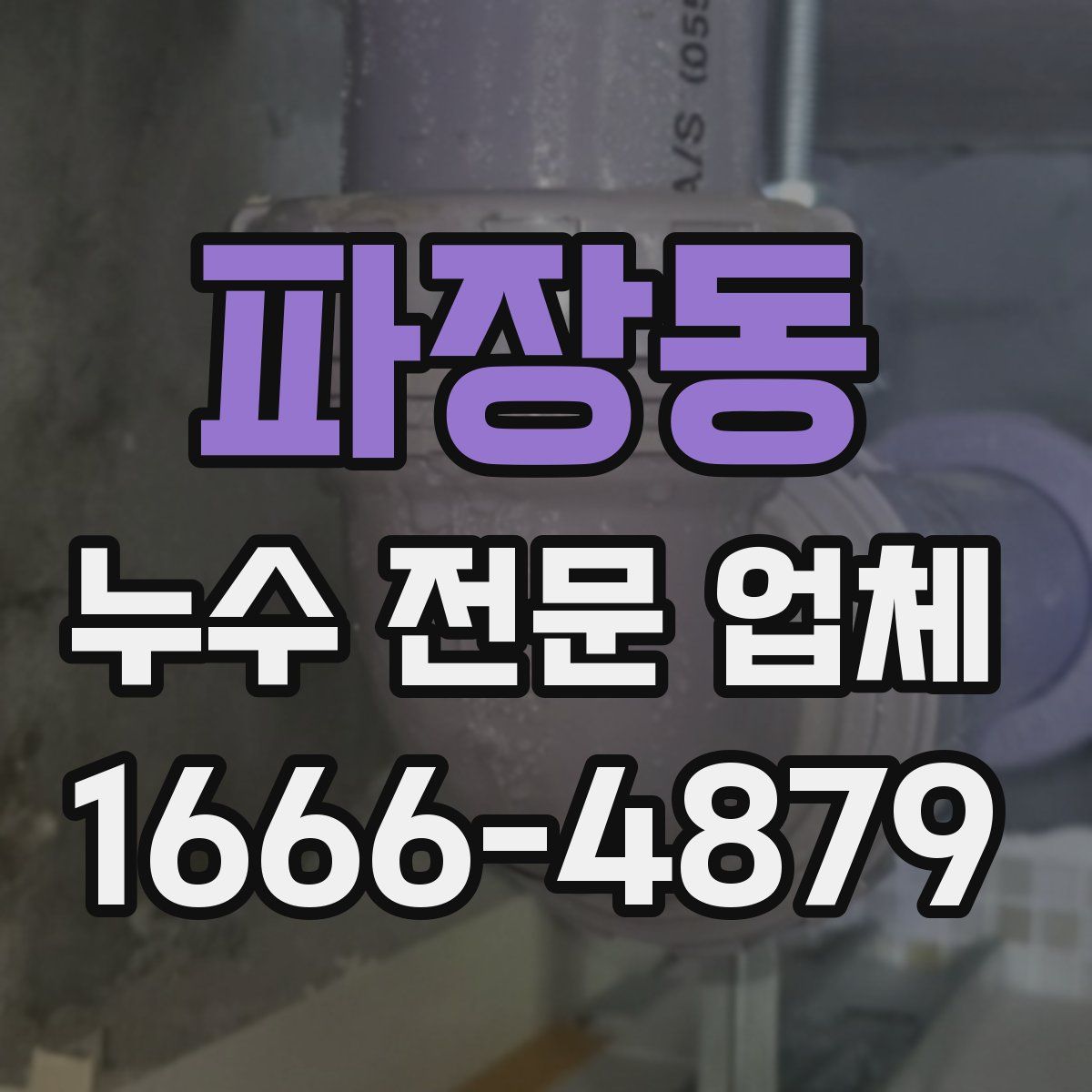 파장동 누수 전문 업체